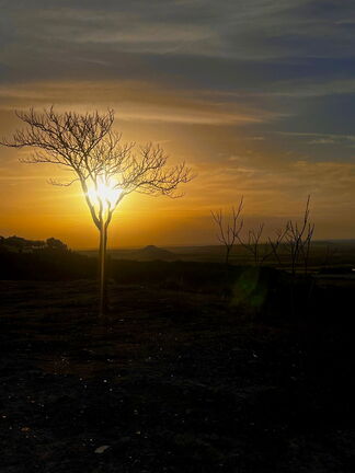Atardecer desde el cementerio