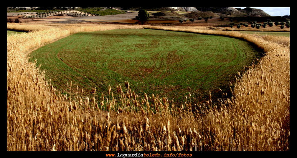 Simetrías - 24 de enero de 2009