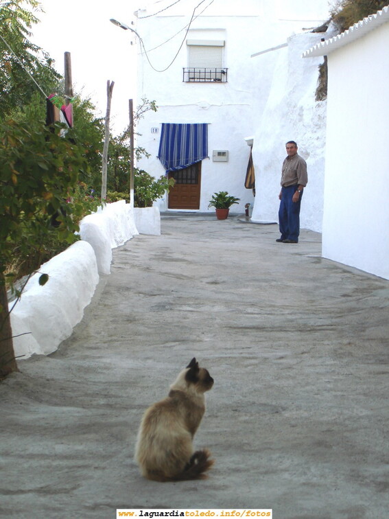 Foto de la calle Cuesta de la Fuente. 2 de Septiembre de 2006. En primer plano un gato del vecindario y de fondo un vecino de la calle.