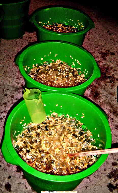 Barreños con el Zurra recien prepadado