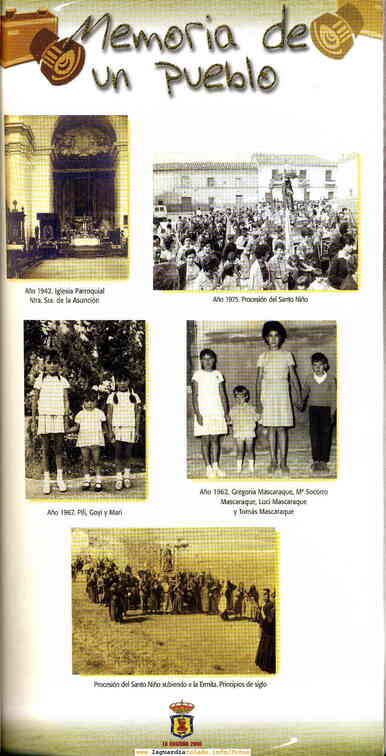 Programa 2006