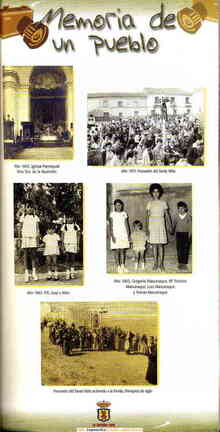 Programa 2006