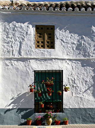 Guardianes de la luz (26-11-2006)