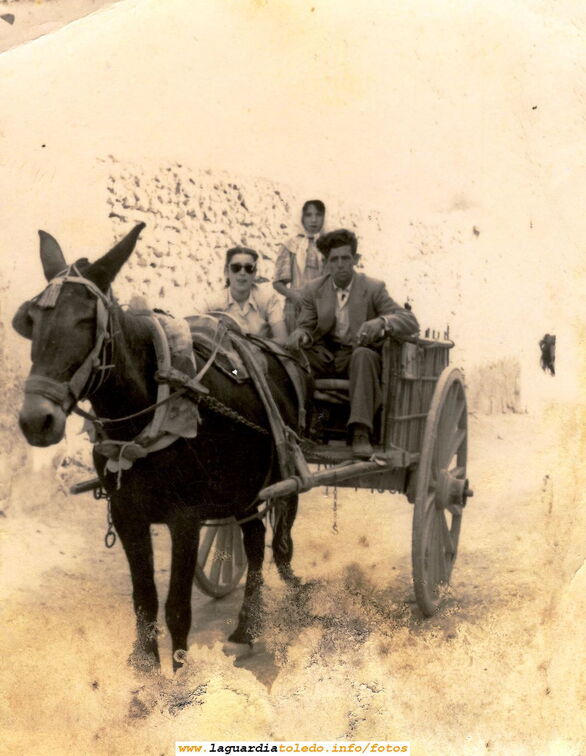 El carro y la mula