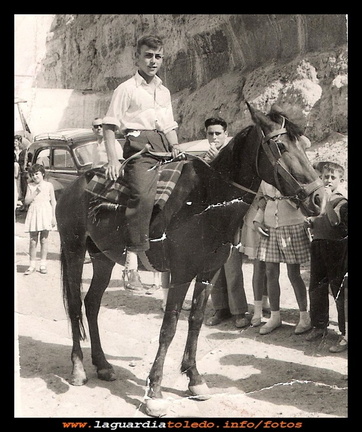 Paco (tolo)