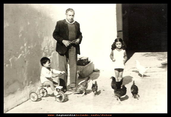 Entre gallinas