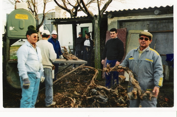 Cortando leña