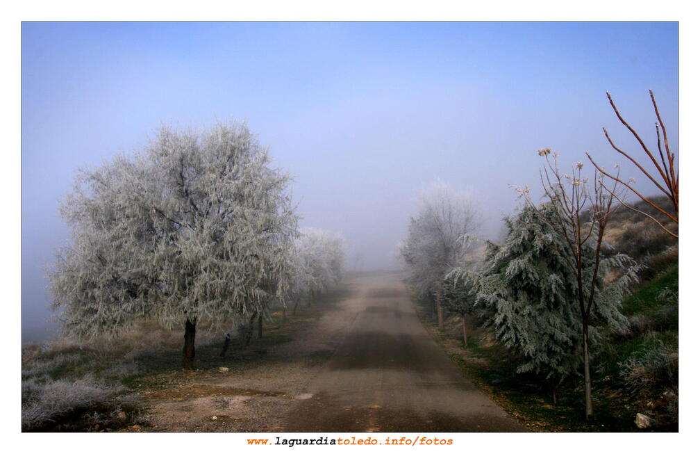 Arboles de hielo de camino al cementerio. 24 de diciembre de 2008
