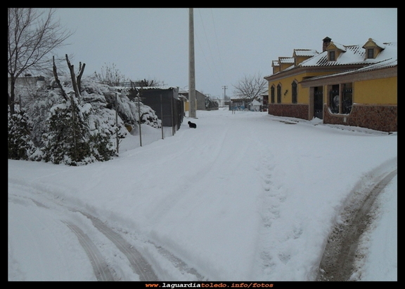 Nevada del 14-12-09