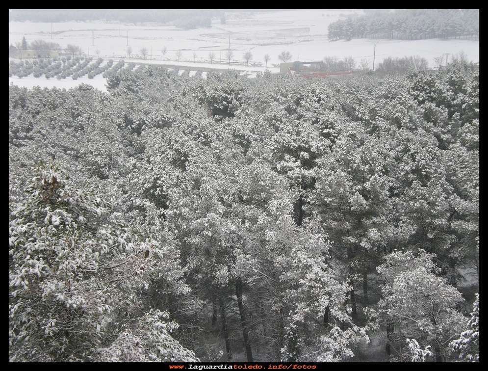 Gran nevada 2009