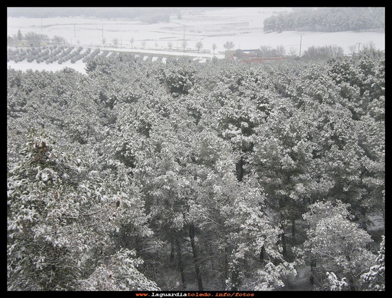 Gran nevada 2009