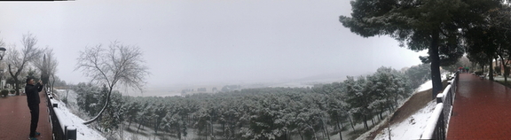 Nieve en el Paseo del Norte. 7-1-2018