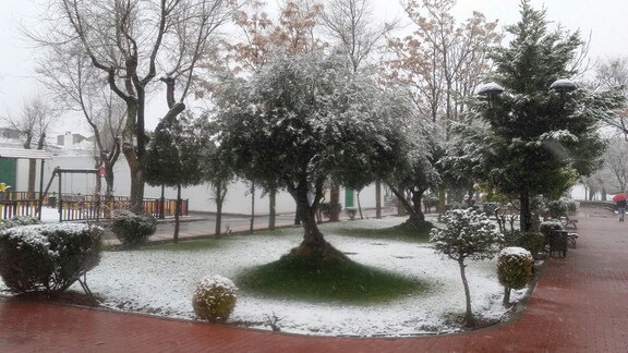 Paseo del norte el día 7 de enero ,2018