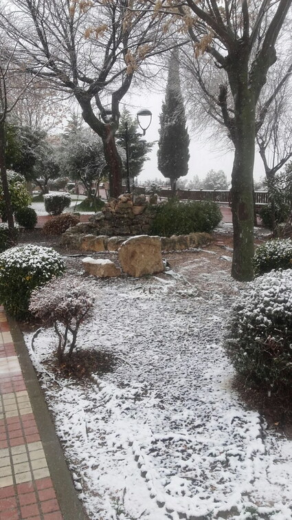 Nevada del 7 de enero 2018 en el paseo del norte