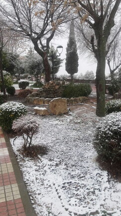Nevada del 7 de enero 2018 en el paseo del norte