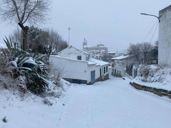Nevada de hoy 7-1-2021