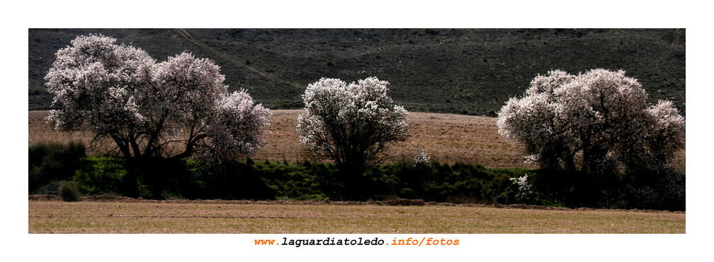 Primavera palpitante III - 14 de marzo de 2009.