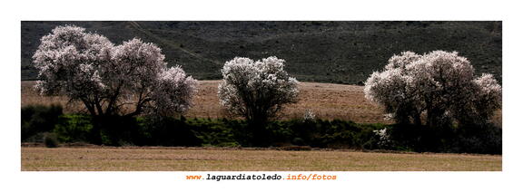 Primavera palpitante III - 14 de marzo de 2009.