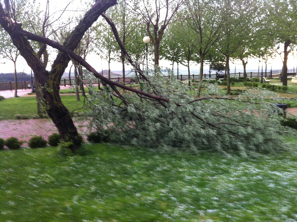Efectos de la fuerte granizada en el Paseo del Norte ( 20-04-2011)