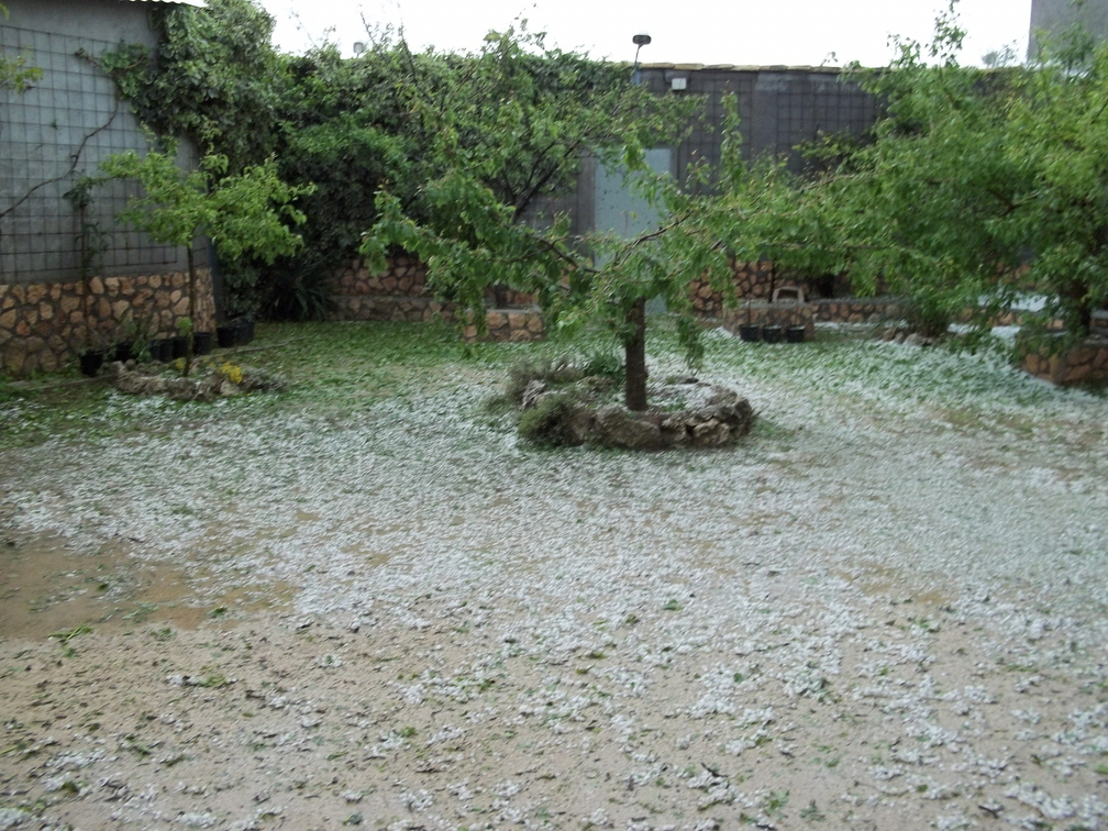 Espectacular granizada en La Guardia. 20-4-2011 FRUTALES