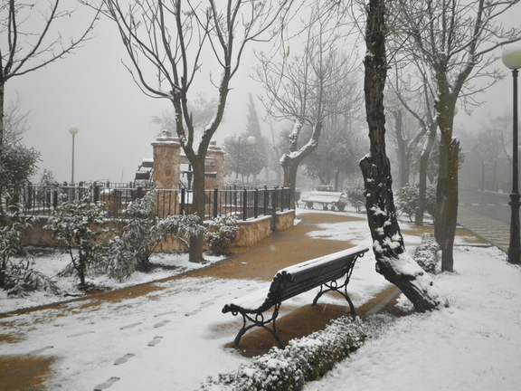 Paseo del Norte en Marzo