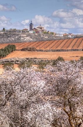 PRIMAVERA. LA GUARDIA 2012.