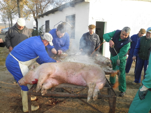 Matanza 2012