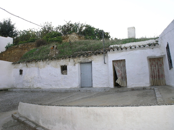 Conservando las raices