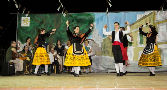FIESTA DE HOMIGUAR. ( 11-07-2015)