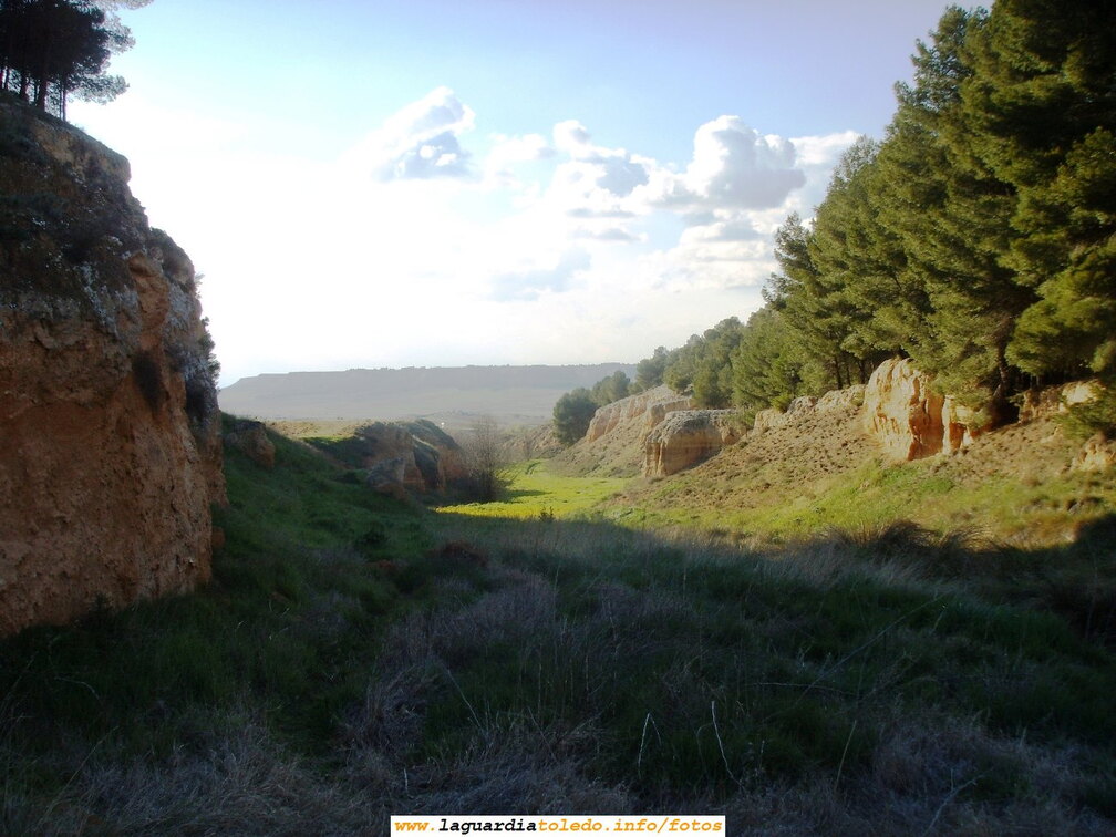 8 de Abril de 2007. Primavera en Perejón