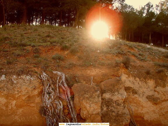 8 de Abril de 2007. Primavera en Perejón