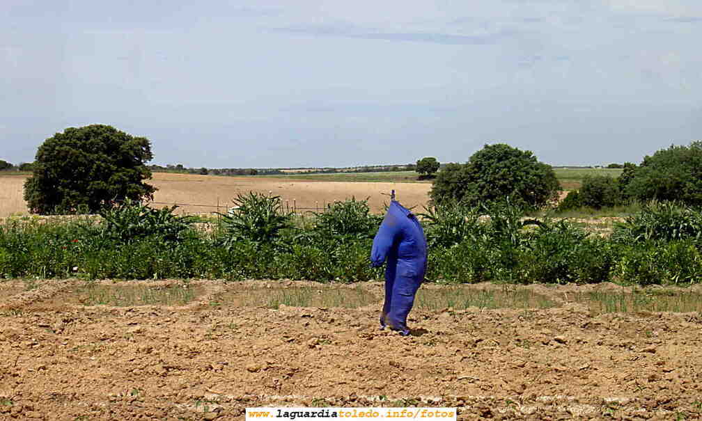 Espantapajaros sacando pecho. 20 de mayo del 2006.