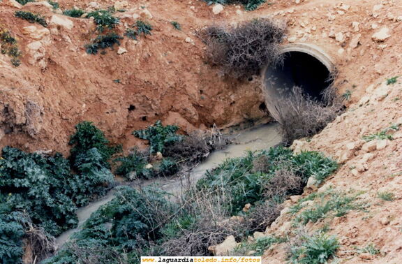 Boca de salida del alcantarillado al Barranco Norte. Año 1987