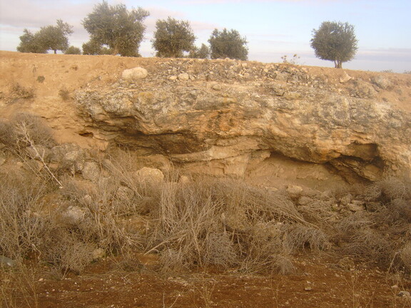 La cueva la losa
