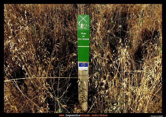 Ruta de Don Quijote 11 de julio de 2009
