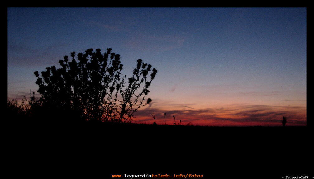 Y el alba me sorprende por el camino viejo a las navas. 11 de julio de 2009