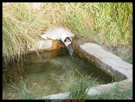 Nacimiento de la Fuente Larga