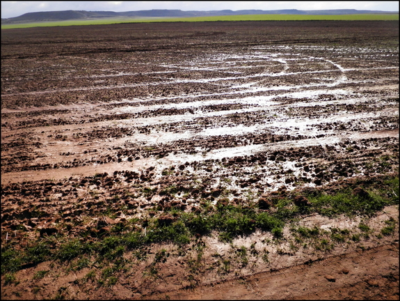 Las tierras no tragan