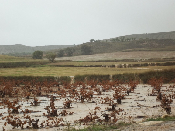 CERROS Y BARRANCOS