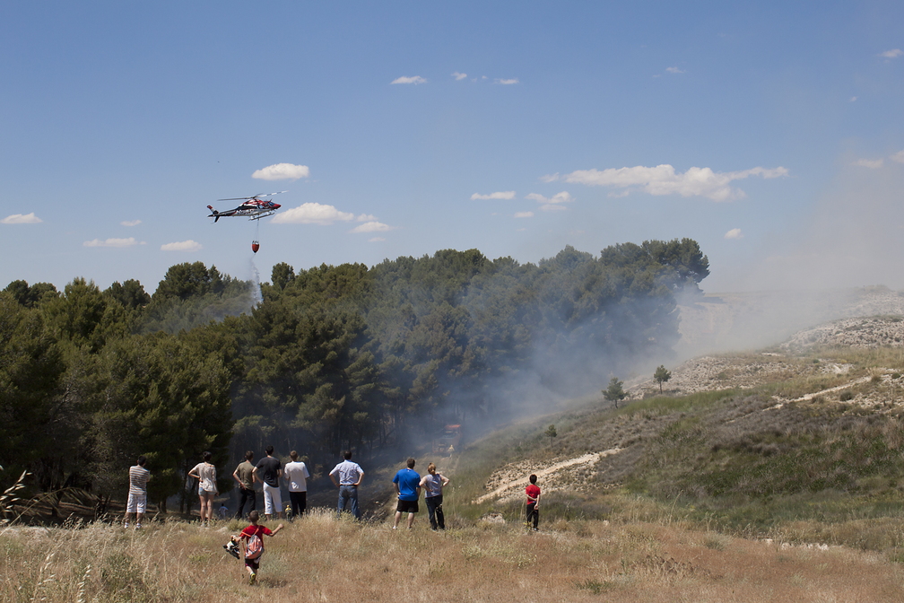 Incendio en los pinos de Perejón. (14 de Junio de 2013)