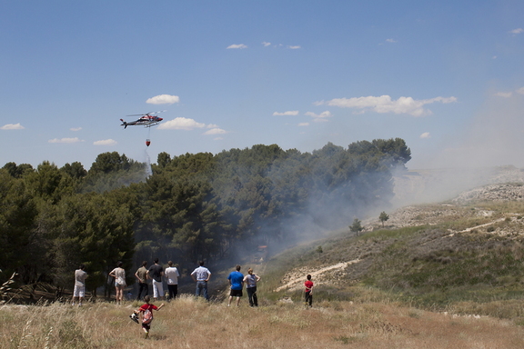 Incendio en los pinos de Perejón. (14 de Junio de 2013)