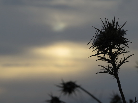 Amanecer nublado