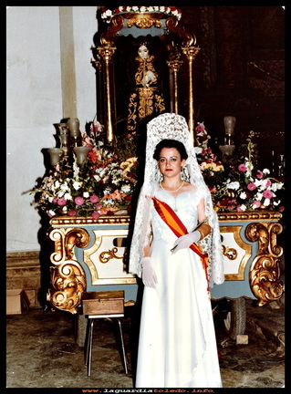 FIESTAS 1981