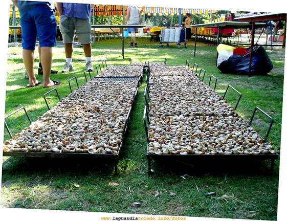 Jean del Castillo - Francia - VII - BOMPAS - Fiesta de los caracoles: Espeando a la ascuas.