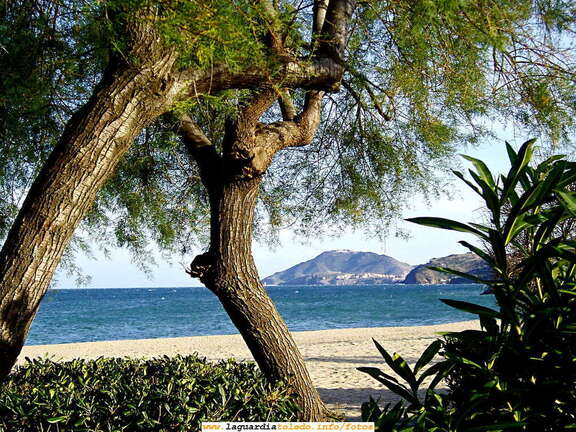 Jean del Castillo - Francia - VII - Playa de Argeles.