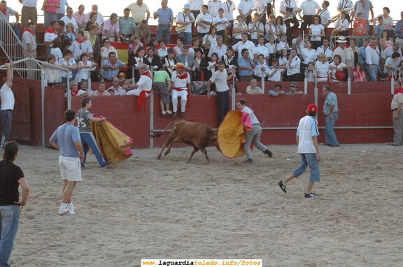 Fiestas de 2005. Instantánea de la suelta de vaquilla en la corrida del 24 de septiembre
