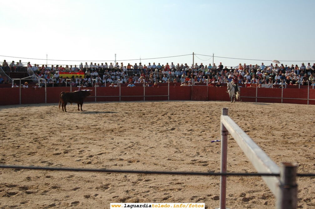 Fiestas de 2005. Instantánea de la suerte de rejoneo