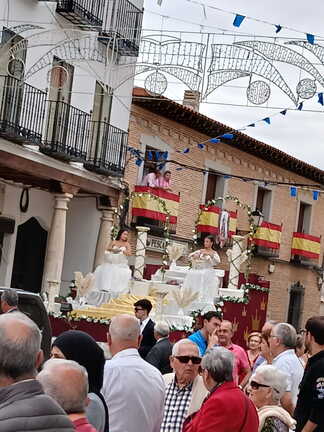 Desfile diurno