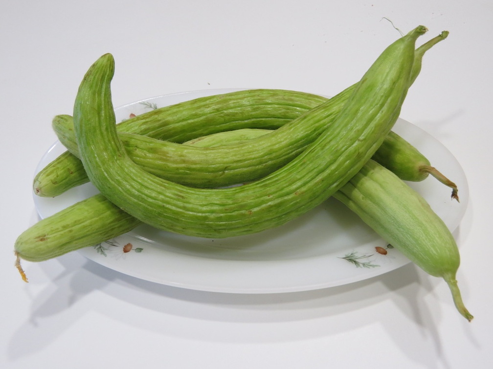 El cohombro. Productos de nuestra tierra