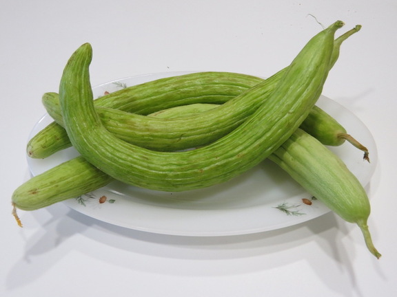 El cohombro. Productos de nuestra tierra